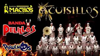 Machos, Cuisillos, Peque&ntilde;os Musical, Maguey 💃 Bandas Viejitas Pero Bonitas Mix