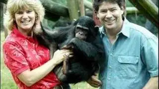Borm Free-Tribute To Jim Cronin And Monkey World