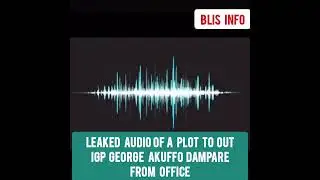 Leaked Audio To Sack IGP Akuffo Dampare From Office