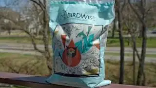 Wild Bird Center's Top 3 Seeds