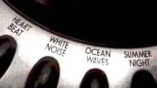 Sounds of nature, circuit bent to terrify