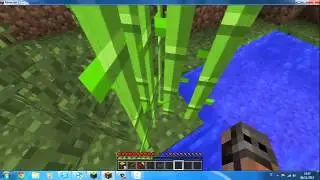 Minecraft MultiPlayer 1 Episodio w/ HERO887