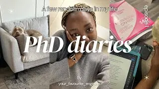PhD Vlog | A Few Random Days in my life as a Civil Engineering PhD Student | Dogsitting | Formula1