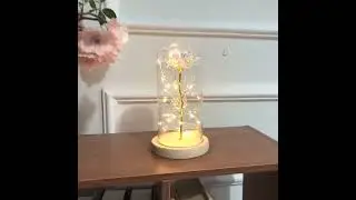 Rose Night Light