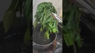 Natural Cassava Leaf Stew #shorts