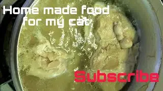 Home made food for my sick cat's fast recovery - full recipe in the video