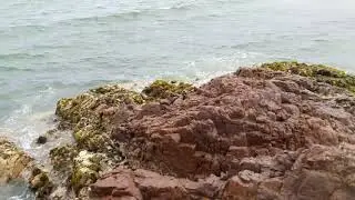 Pisco Paracas Playa Lagunillas Enero 2018