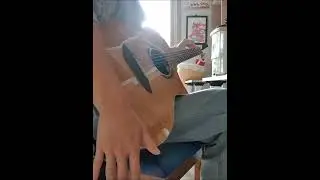 Hunter's Moon 찍먹 #andymckee #hunter's moon #fingerstyle #guitar  #guitarcover #앤디맥키 #핑거스타일 #기타 #연습