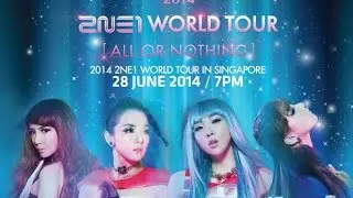 2NE1 2014 - World Tour All Or Nothing In Singapore 2014