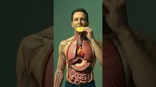 Pineapple Inside Your Body 🍍 | Benefits, Digestion & Hidden Effects