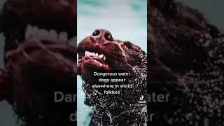 Dangerous Water Dogs from world folklore #shorts