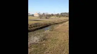 Single footing 3 yr old 