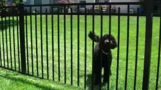 Best Fence Supply Company - Installation Tips