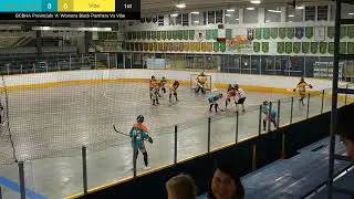 BCBHA Women's Provincials Semi-Final - Tropic Thunder vs Kamloops Vibe
