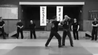 Bujinkan Budo Taijutsu Demonstration