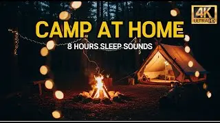 No Need to Go Camping ⛺ | 8 Hours of Cozy Campfire Sounds