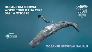 OCEAN Film Festival World Tour Italia 2025 - Trailer