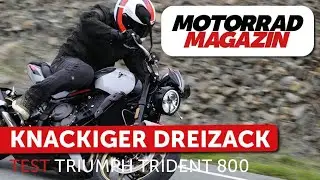 Test Triumph Trident 800 – Ein Roadster wie aus dem Bilderbuch auf der Millionärsinsel