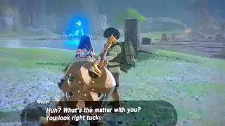 The Legend of Zelda: Breath of the Wild Wednesdays!