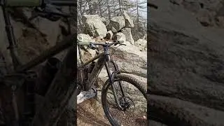 Trek Rail 5