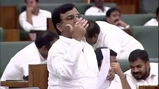 AP Dy.CM Amzath Basha on Council Chairman decision over 3 capitals bills
