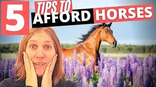 How to Afford Horses (5 Tips for Equestrians)