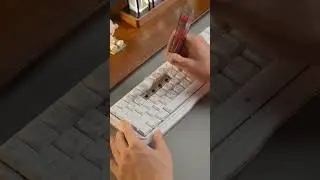 Dual-purpose puller for effortless keycap and switch removal!#kemove  #desksetup #keyboard