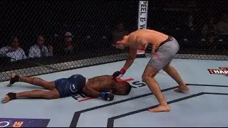 Top Finishes from UFC Copenhagen Fighters