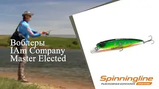 Воблеры IAm Company Master Elected