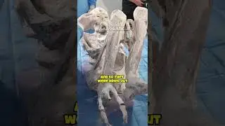 Alien Mummies in Peru👽