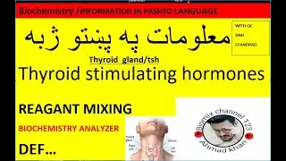 tsh(thyroid stimulating hormones ) in pashto