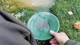 &Eacute;norm&eacute;ment de bijbite dans les sables