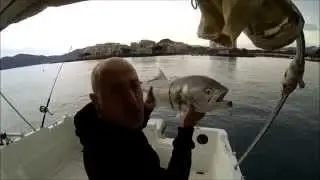 P&ecirc;che Gros Tassergal en M&eacute;dit&eacute;rann&eacute;e /ANTOMICOU FISHING
