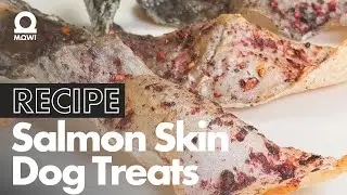 Salmon Skin Dog Treats Recipe   Delicious homemade teats for your dog