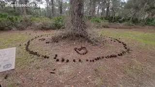 Lemon Bay Park & Environmental Center, Florida | TOUR in 4K
