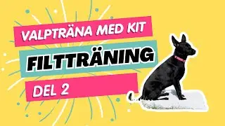 Valptr&auml;ning | Filttr&auml;ning del 2