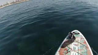 SUPing in Mar Bella