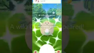 ✨️✨️✨️ Shiny Chansey Pok&eacute;mon Community Day #pokemongo #pokemon #pokemongocommunityday