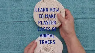 Learn How to Make Plaster Casts of Animal Tracks Full Length Tutorial