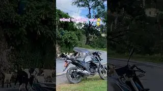 Dashain pani aunna lagyoo #foryou#travel#fypyoutube#ytshorts#reels#heartbroken#nepal#currentaffairs
