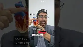 Palpita&ccedil;&atilde;o, cora&ccedil;&atilde;o acelerado, batendo forte, fora do ritmo, irregular, taquicardia, arritmia