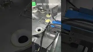Полностью автоматическая машина для производства оболочек для яичных тартов | Линия для формовани...