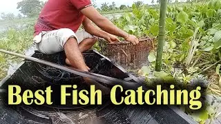 Best Fish Catching by Bamboo Fishing Trap | Natural Fishing Video