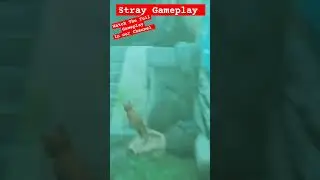 Stray #shorts #shortsgameplay #straycat #fullwalkthrough #gamesguides