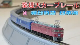 【感動】TOMIX 築堤大カーブレールで寝台特急 日本海を走らせたらカッコ良過ぎた N-scale train model of Japanese sleeper express NIHONKAI