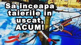Taierile Pomilor Fructiferi in Repaus - Inceputul Sezonului?