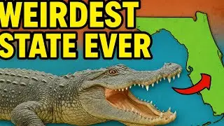 25 Florida Geography Facts That Will Blow Your Mind