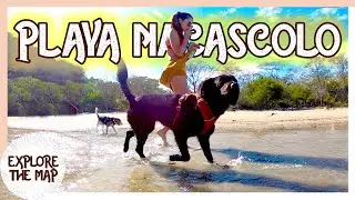 Todo sobre Playa NACASCOLO 🌴 Península Papagayo - Costa Rica