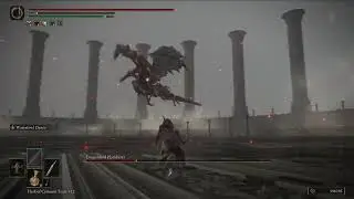 Elden Ring: Malenia Vs Dragonlord Placidusax (NG+2)