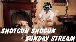 Sunday's With Shogun - 24 hour Stream Recovery